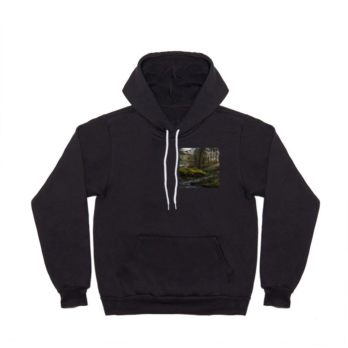 forest, stream, landscape Hoody