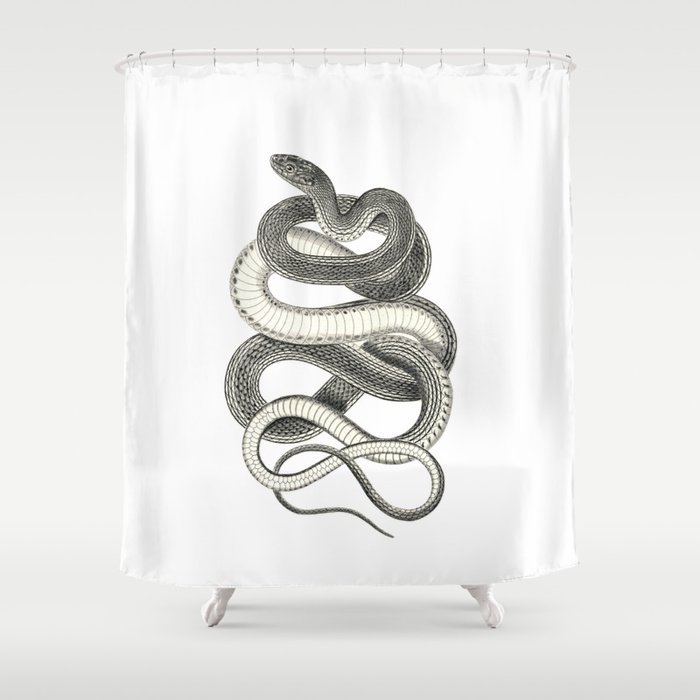 snake vintage style print serpent black and white 1800's Shower Curtain by  Luxorama