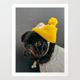 Mans Best Friend is a Dog 29 Art Print