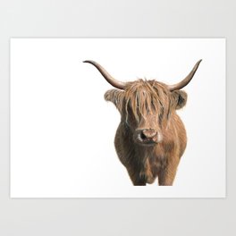 Highland cow Art Print