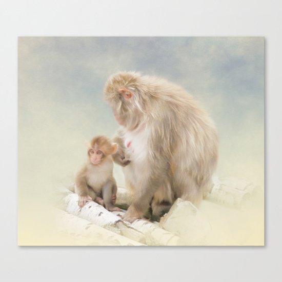 Monkey love Canvas Print