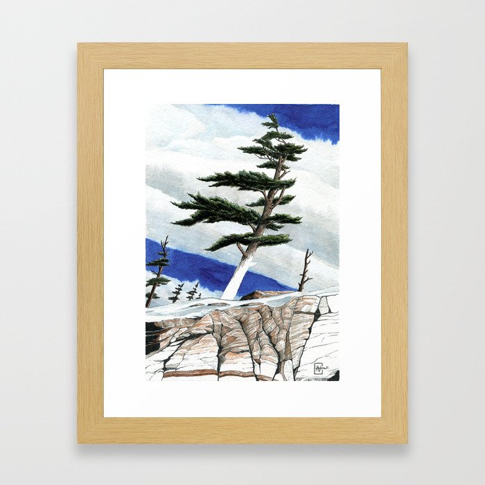 Windy Winter Framed Art Print