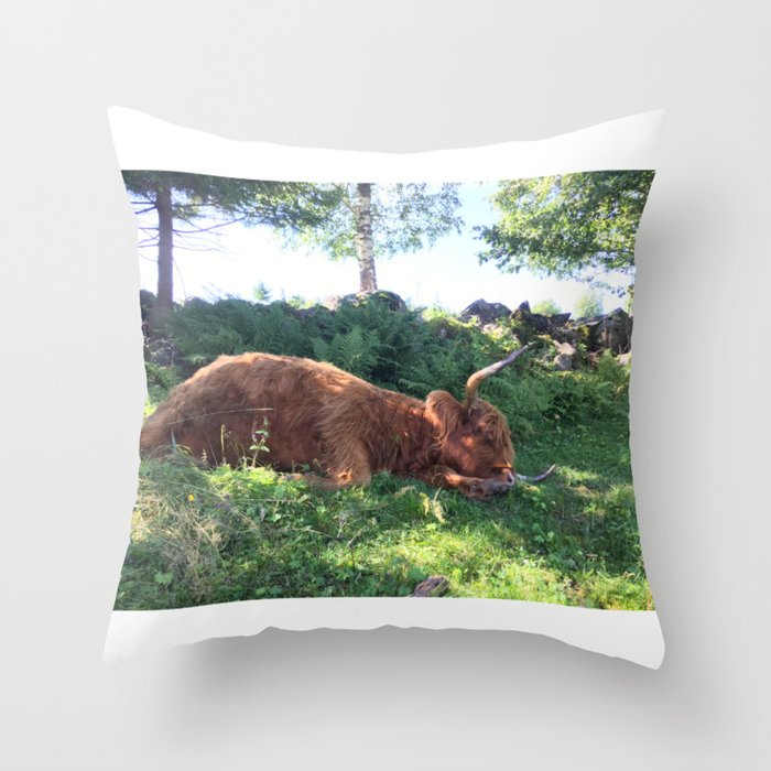 Fluffy Highland Cattle Cow 1184 Throw Pillow