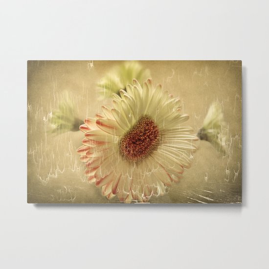 Peaches & Cream Metal Print