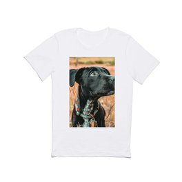Wheatfield Dog //  Portrait If These Eyes Could Talk .. Stunning Rusty Blues T Shirt | Painting, Redish Cute Puppy, Orange Rusty Rust, Woods Photography, Black Lab Breed, Natural And Earthy, Montana Tranquil, Mountain Mountains, Landscape In Winter, Nature Park Decor 