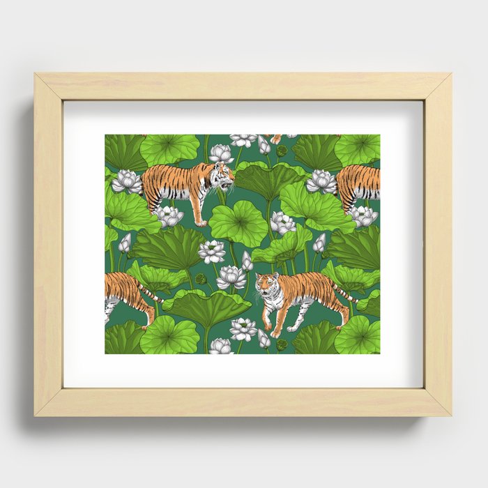 Tigers in the white lotus pond Recessed Framed Print