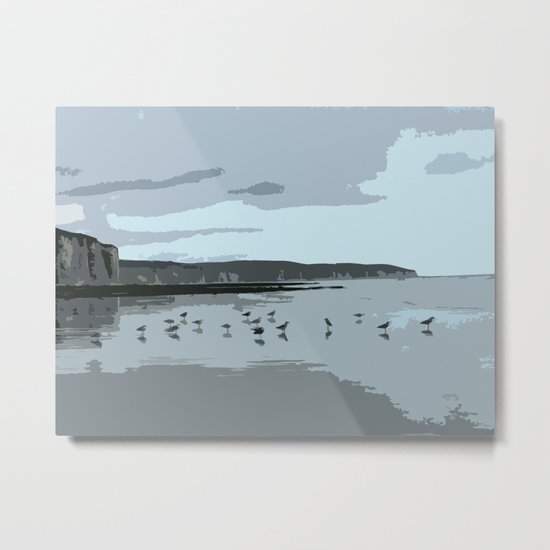 seagulls Metal Print