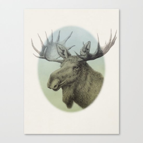 Moose head elk Canvas Print