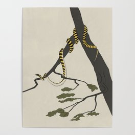 Lounging Golden Tree Snake Poster