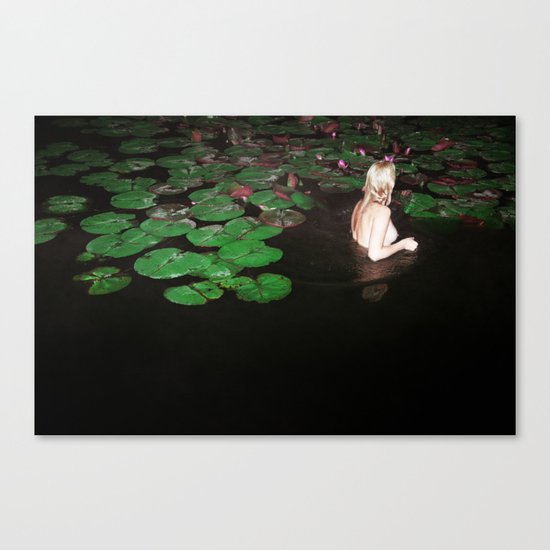 This is Not What You Think it Is II Canvas Print