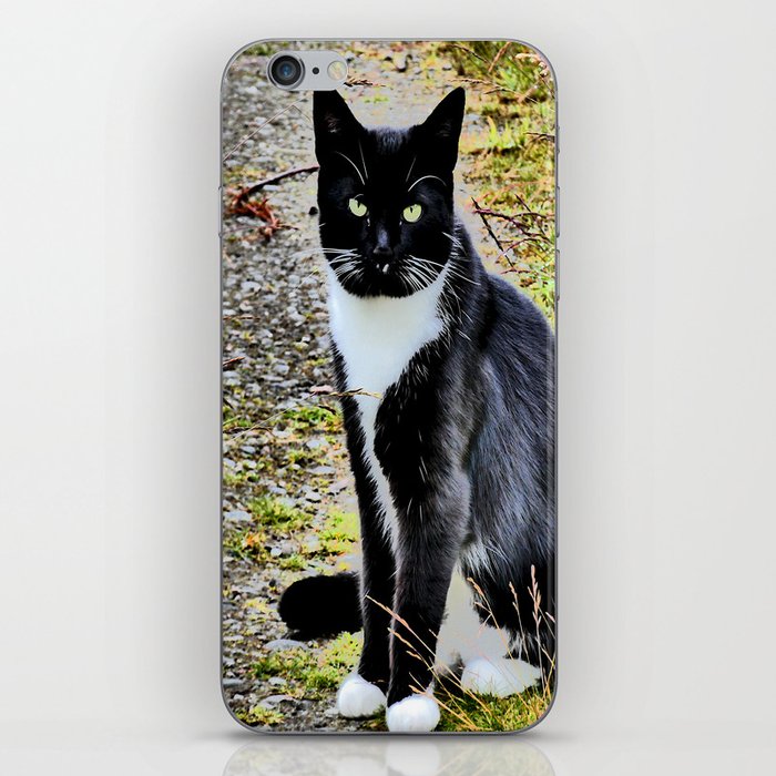 Friendly Cat of the Scottish Highlands in I Art iPhone Skin