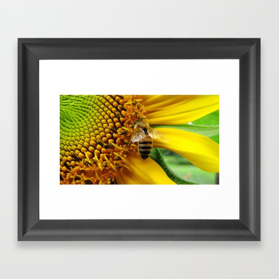 Pollination Framed Art Print