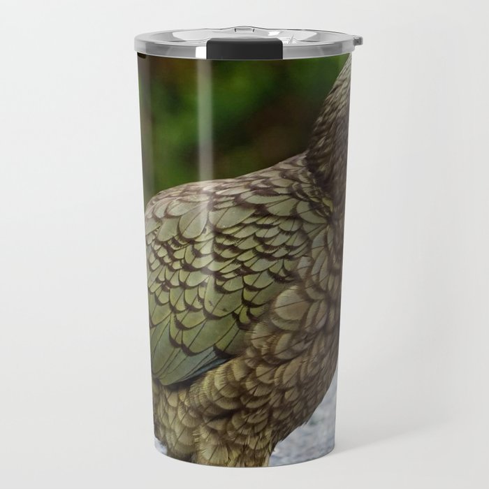 New Zealand Photography - Kea Sitting On The Asphalt Travel Mug