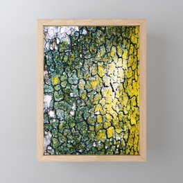 Yellow and Green Spotted Abstract Pigmented Tree Bark Print Framed Mini Art Print