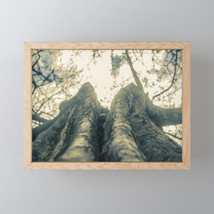 Up in the Trees Framed Mini Art Print