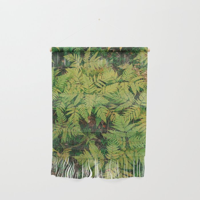 Field of Ferns  Wall Hanging