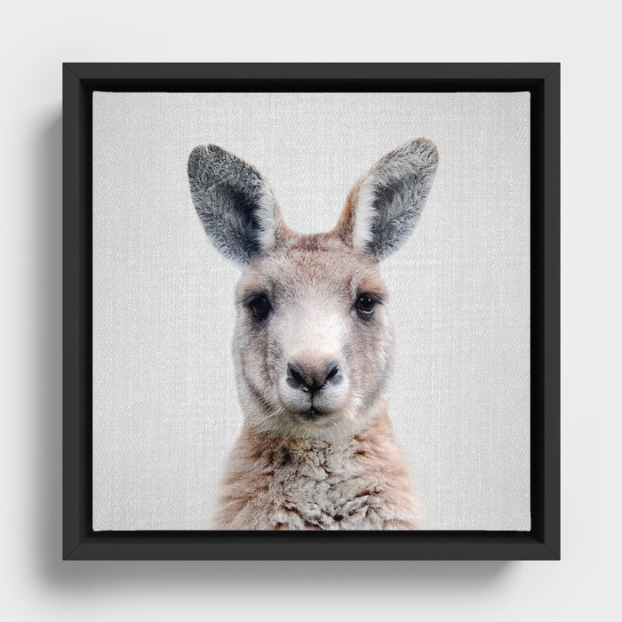 Framed Canvas