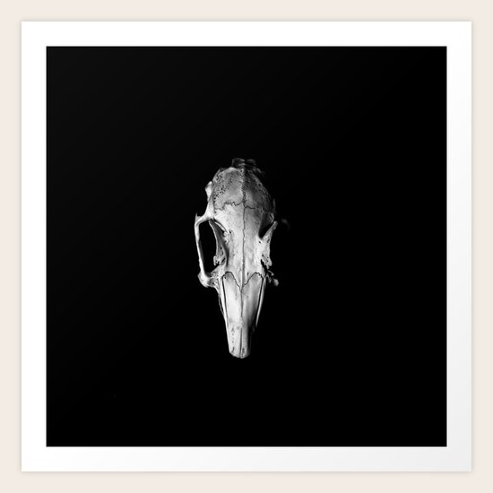Cranium Art Print