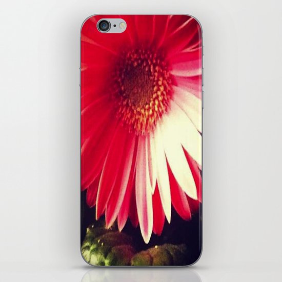 Gerber iPhone & iPod Skin