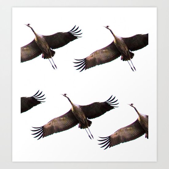 Cranes in flight Art Print