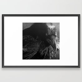 White Pencil Raven Drawing Framed Art Print