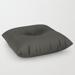 Henlei Freshwater Stingray Gray Floor Pillow
