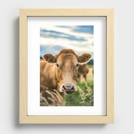 Summer in the Country with the Cows Recessed Framed Print