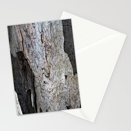Eucalyptus Tree Bark and Wood Abstract Natural Texture 63 Stationery Card
