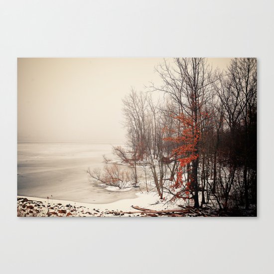 On winters frozen pond Canvas Print