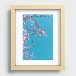 Spring Cherry Blossoms IV Recessed Framed Print