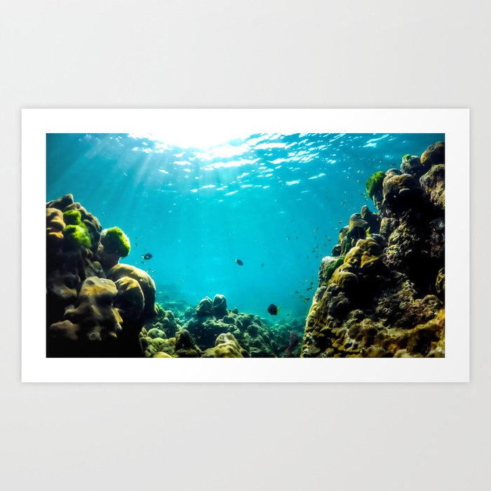 Tropical Underwater Landscape Art Print