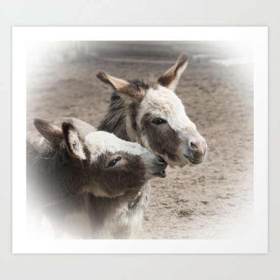 The donkeys Art Print