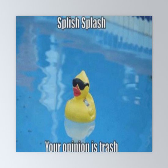 Splish Splash Your Opinion Is Trash Mini Art Print By Heresiarch Society6