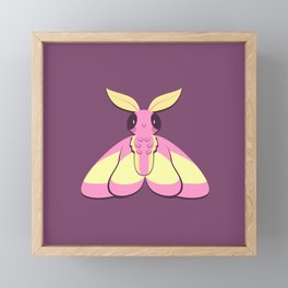 Rosy Maple Moth Framed Mini Art Print
