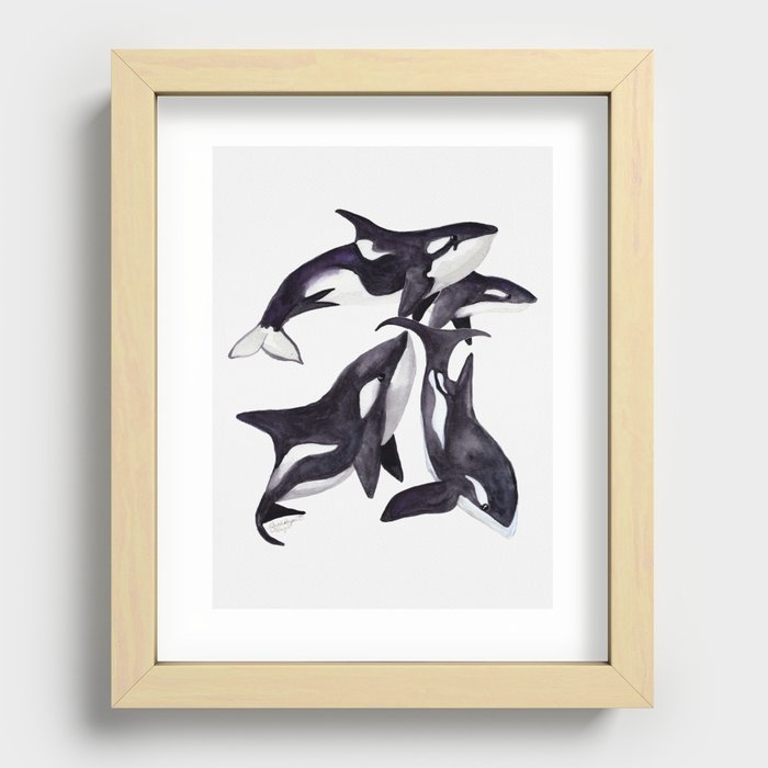 Orcas and Seals Recessed Framed Print