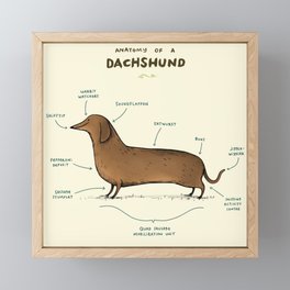 Anatomy of a Dachshund Framed Mini Art Print
