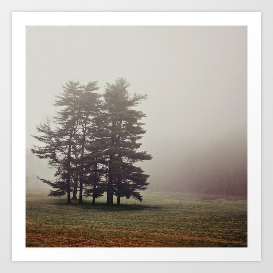 Collection Art Print