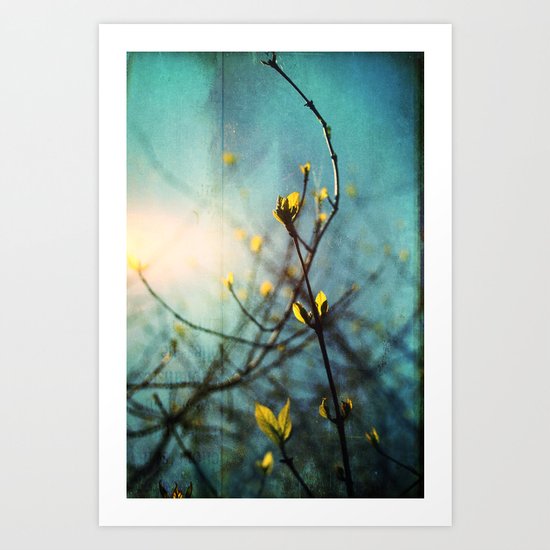 Renewal Art Print
