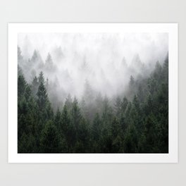 Home Is A Feeling // Wild Romantic Misty Fairytale Wilderness Forest With Trees Covered In Fog Art Print