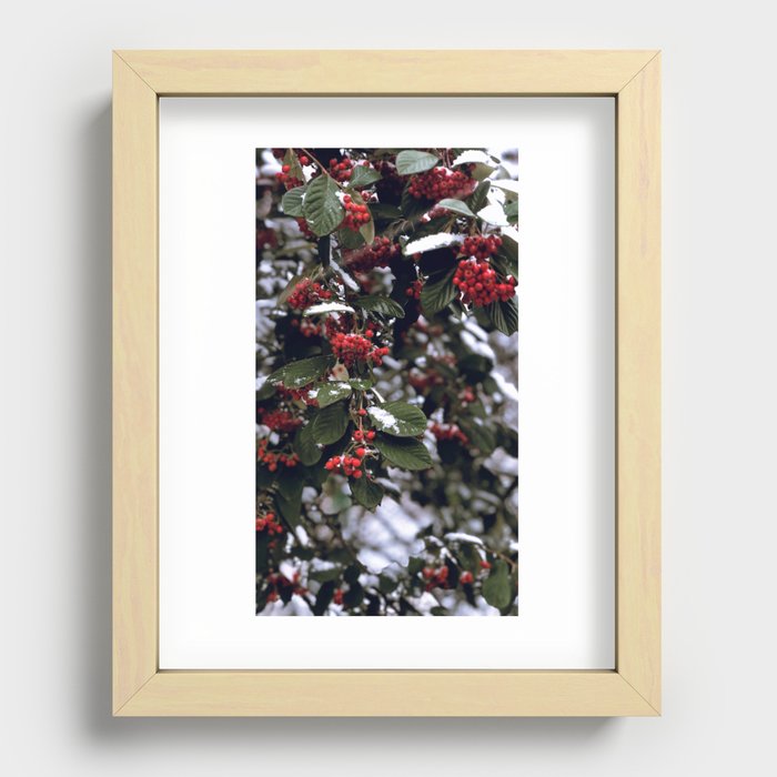 winterberries Recessed Framed Print