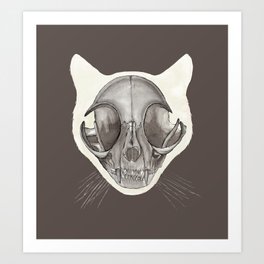 Cat Skull: Watercolor Animal Skeleton Anatomy Art Print | Vintage, Painting, Petillustration, Veterinarian, Anatomicalart, Catskeleton, Black And White, Realism, Gothpainting, Medicalartwork 