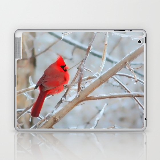 Northern Cardinal (Male)  Laptop & iPad Skin