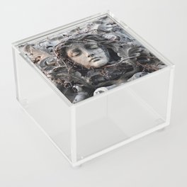 Stone Maiden Acrylic Box