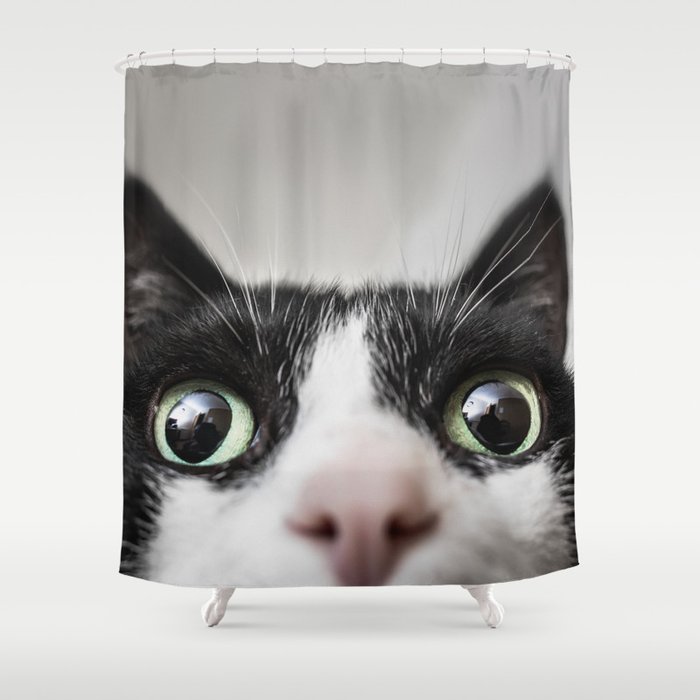 Funny Cat Shower Curtain