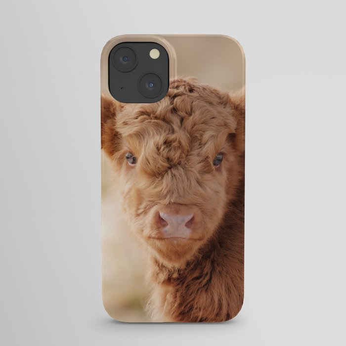 Baby Scottish Highland Cow Photo | Animal Photography | Fluffy Scottish Highland Calf iPhone Case