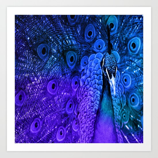 Peacock - Brights Art Print