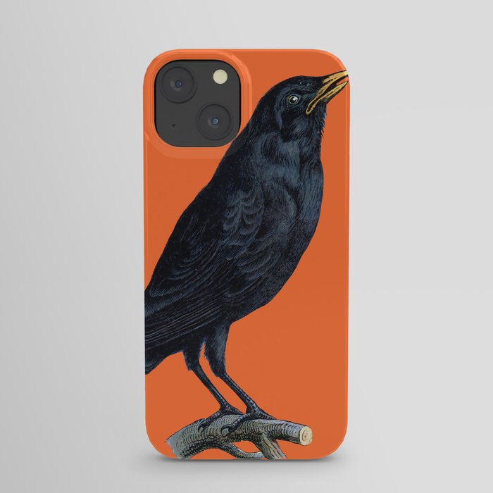 Vintage Raven iPhone Case