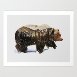 Arctic Grizzly Bear Art Print