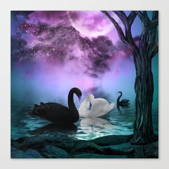 Wonderful black and white swan Canvas Print