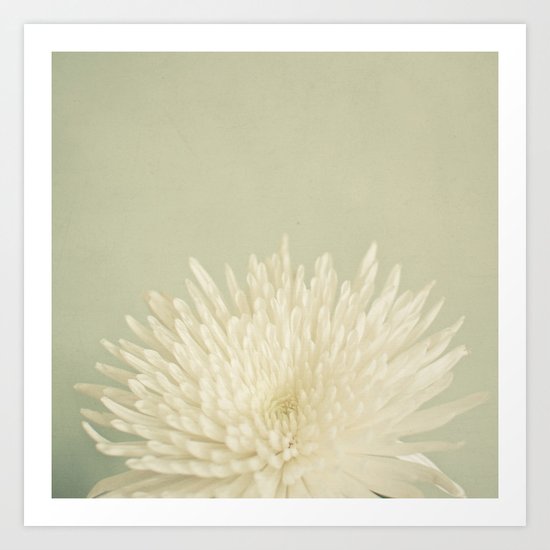 Pale Beauty Art Print